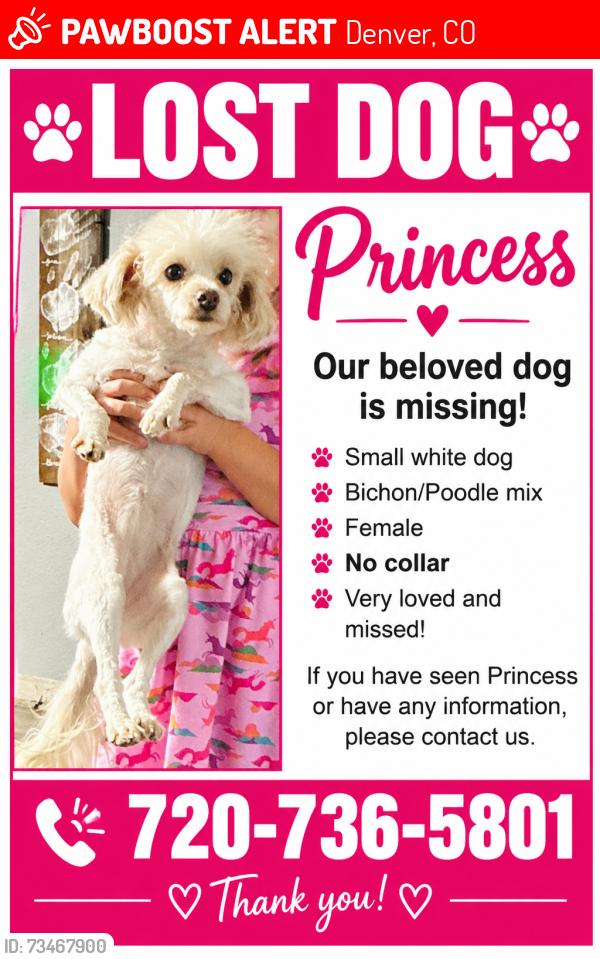Lost Female Dog last seen Near Barnum elementary, Denver, CO 80219