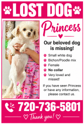 Lost Female Dog last seen Near Barnum elementary, Denver, CO 80219