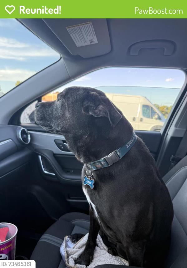 Reunited Male Dog last seen McKnight and Lydia, Maplewood, MN 55109