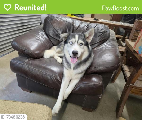 Reunited Male Dog last seen Spring Creek Park, Tomball, TX 77377