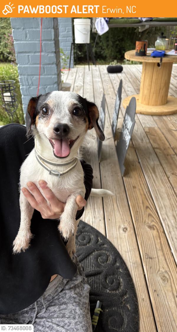 Found/Stray Male Dog last seen Erwin church, Erwin, NC 28339