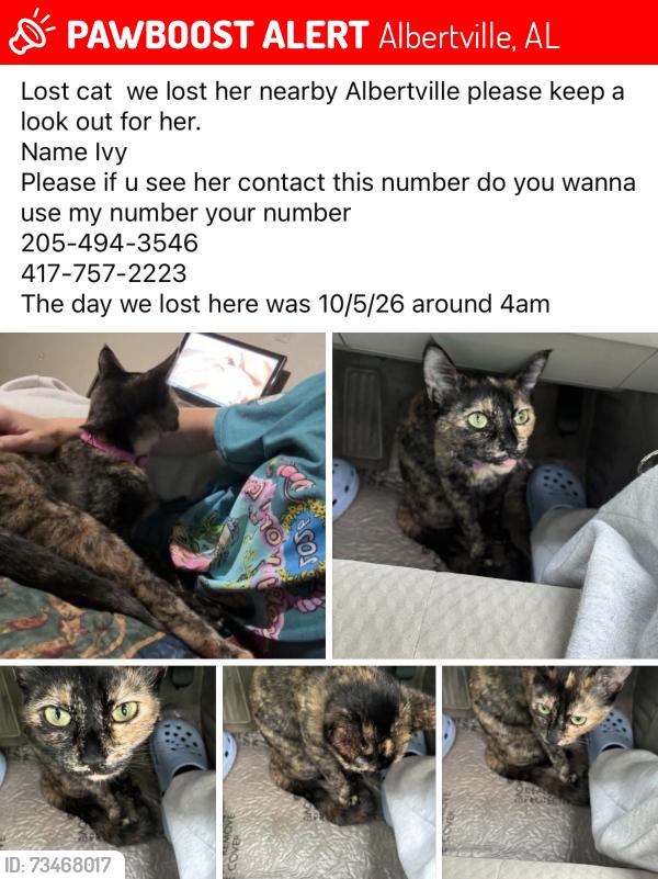 Lost Female Cat last seen Mueller water products, Albertville, AL 35950