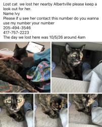 Lost Female Cat last seen Mueller water products, Albertville, AL 35950