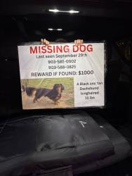 Lost Male Dog last seen EAST LOOP 179 & TRUCK ROUTE 271, Pittsburg, TX 75686