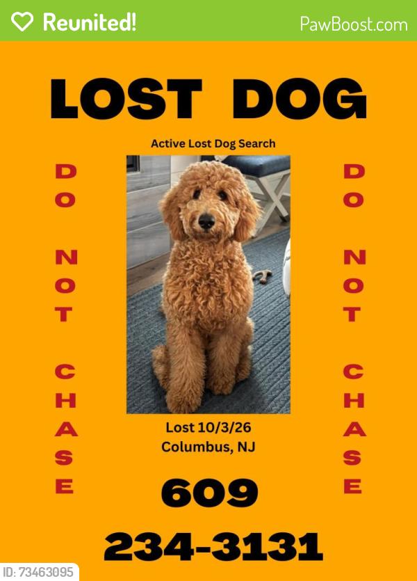 Reunited Female Dog last seen Northern Burlington High School/ Middle School, Mansfield, NJ 08022