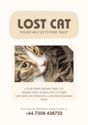 Lost Male Cat last seen Bus stops, Greater London, England SW20 9HQ
