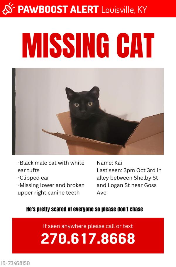 Lost Male Cat last seen Alley between Logan St and Shelby St near Goss Ave, Louisville, KY 40203