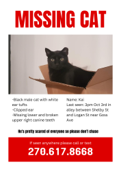 Lost Male Cat last seen Alley between Logan St and Shelby St near Goss Ave, Louisville, KY 40203