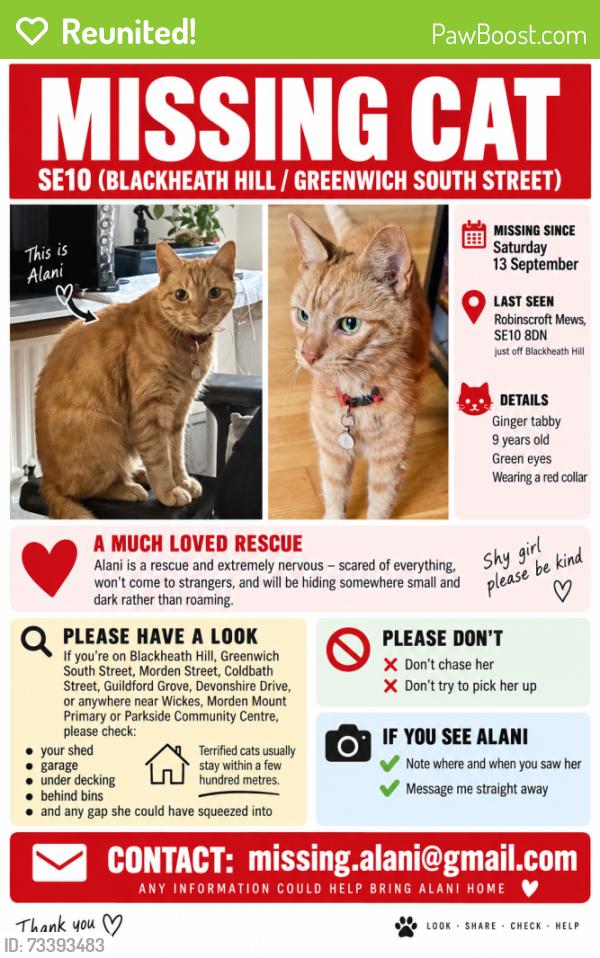 Reunited Female Cat last seen Lewisham Road / Blackheath Hill, Greater London, England SE10 8GE