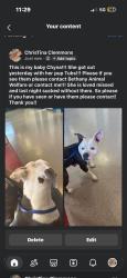 Lost Female Dog last seen Nw 30th and Muller, Bethany, OK 73008