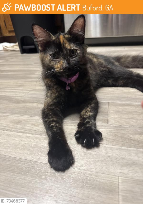 Found/Stray Female Cat last seen Friendship Rd. and Sardis Church Rd., Buford, GA 30519