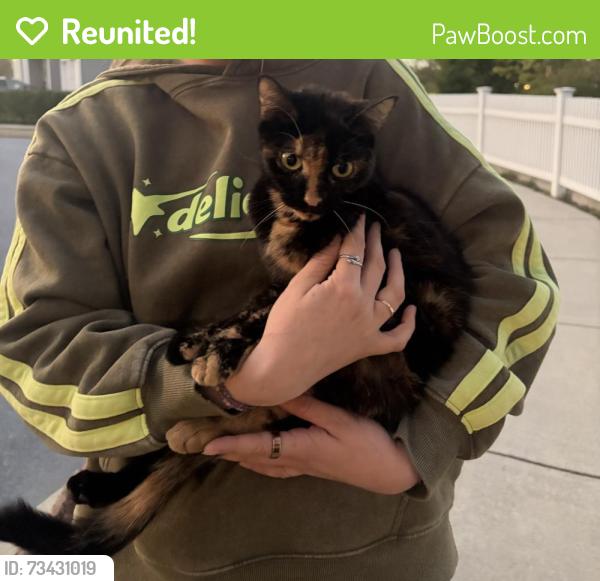 Reunited Female Cat last seen New Holland Pike, Pleasure Road, Lancaster, PA 17601