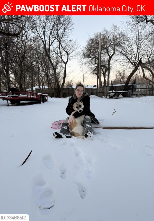 Lost Female Dog last seen South OKC, Oklahoma City, OK 73169