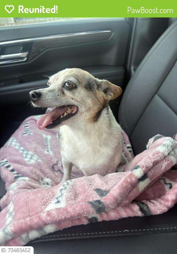 Reunited Male Dog last seen Meander & miller ct, Hood County, TX 76049