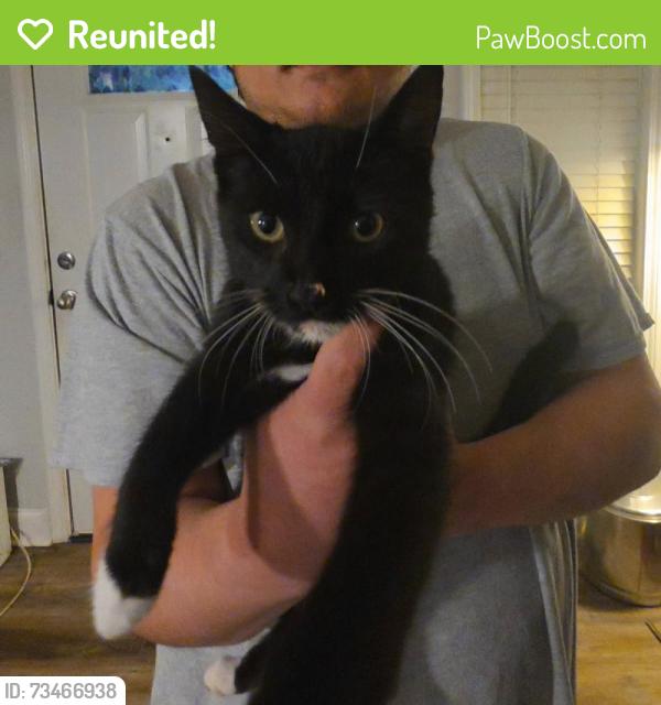 Reunited Male Cat last seen McCrary st, Asheboro, NC 27203