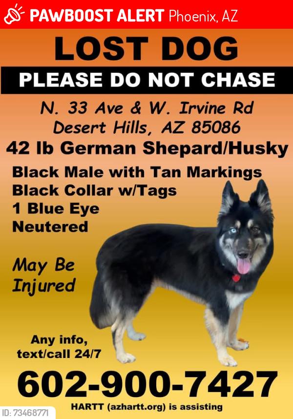 Lost Male Dog last seen N Donovan Ct Phoenix AZ 85086 United States, Phoenix, AZ 85086