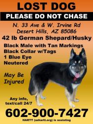 Lost Male Dog last seen N Donovan Ct Phoenix AZ 85086 United States, Phoenix, AZ 85086