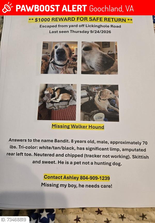 Lost Male Dog last seen James River Landing; Lickinghole Rd and Marlin, Goochland, VA 23063