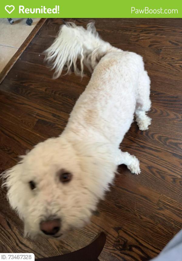 Reunited Female Dog last seen Merril st & Silver Ave, San Francisco, CA 94134