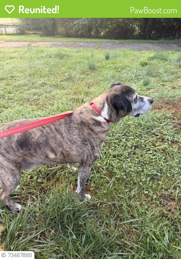 Reunited Male Dog last seen Rt 73 and Cleaver School Rd, Colebrookdale Township, PA 19512
