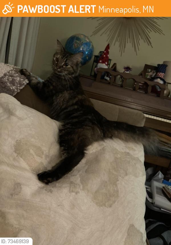 Found/Stray Female Cat last seen 43rd Ave N & Penn Ave N Minneapolis, Minneapolis, MN 55412