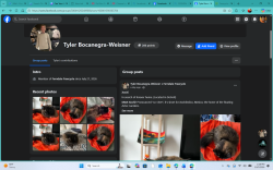Found/Stray Female Cat last seen Tyler Bocanegra-Weisner, Detroit, MI 48207