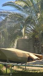 Found/Stray Unknown Bird last seen Elkhorn and Jones, Las Vegas, NV 89131
