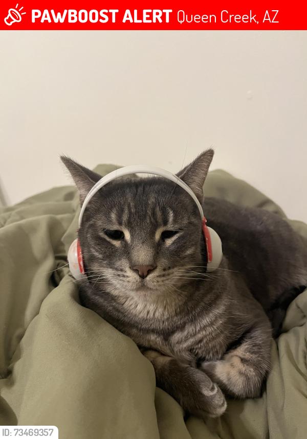 Lost Male Cat last seen Gary and Magma, Queen Creek, AZ 85143