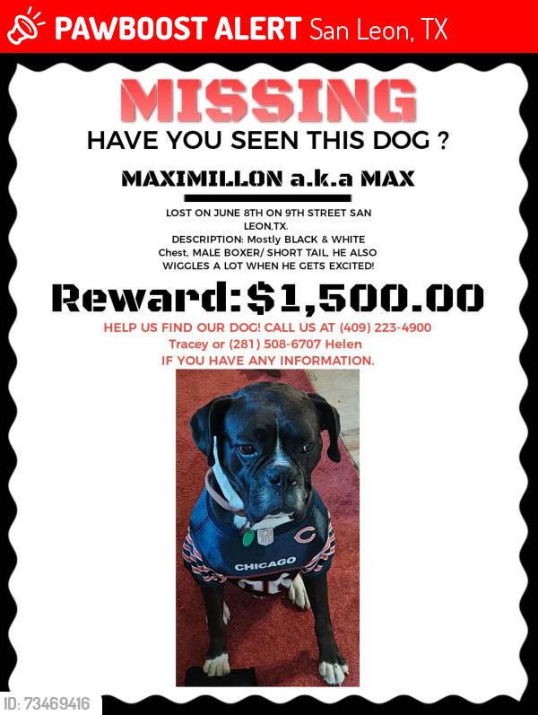 Lost Male Dog last seen Fm517, San Leon, TX 77539