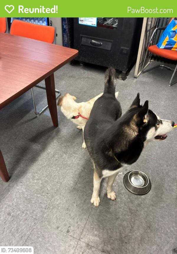 Reunited Unknown Dog last seen Near, Staten Island, NY 10301