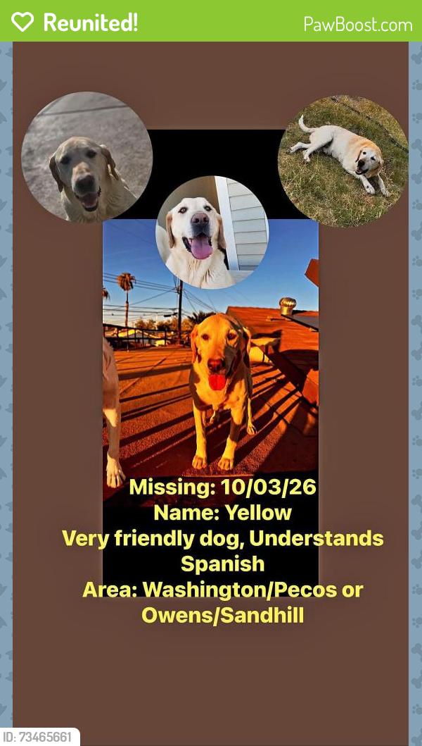 Reunited Male Dog last seen Washington/Pecos- Owens/Sandhill, Las Vegas, NV 89110