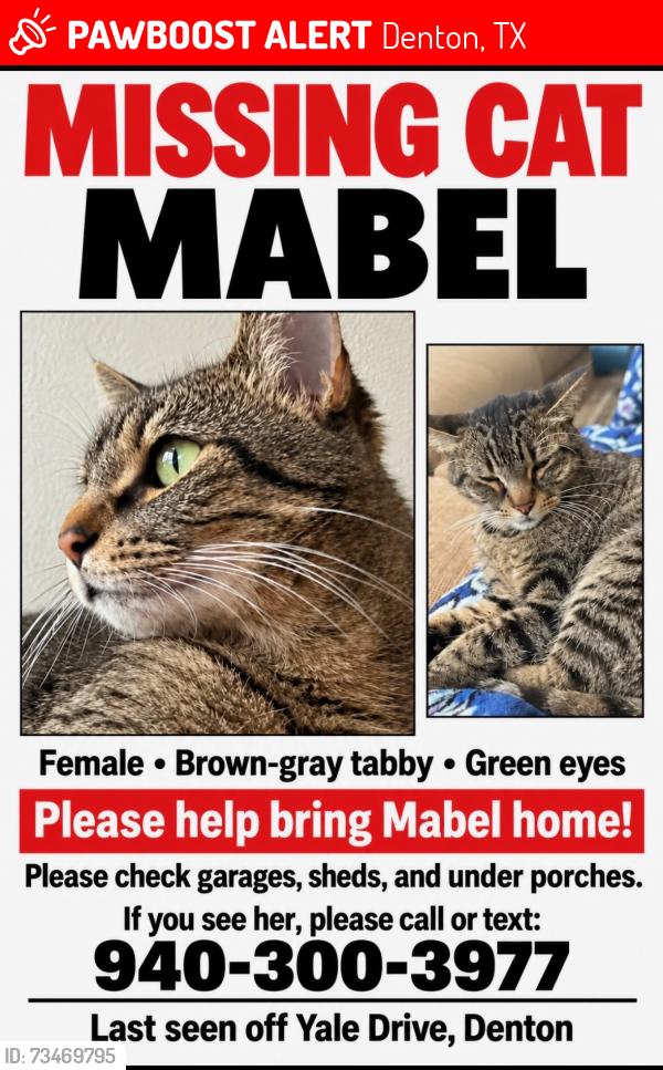 Lost Female Cat last seen Near Yale de, Denton, TX 76210
