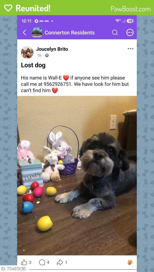 Reunited Male Dog last seen Connerton Community in the Camelia Crest Subdivision, Connerton, FL 34637