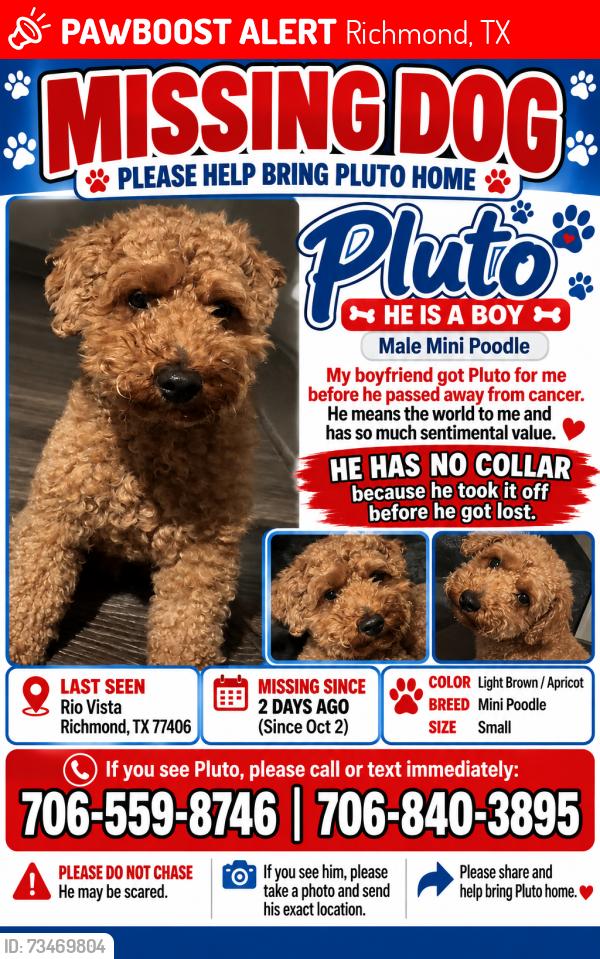 Lost Male Dog last seen Near Briza Del Mar ct, Richmond, TX 77406