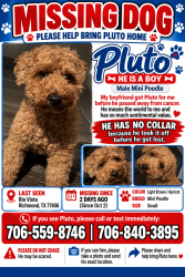 Lost Male Dog last seen Near Briza Del Mar ct, Richmond, TX 77406