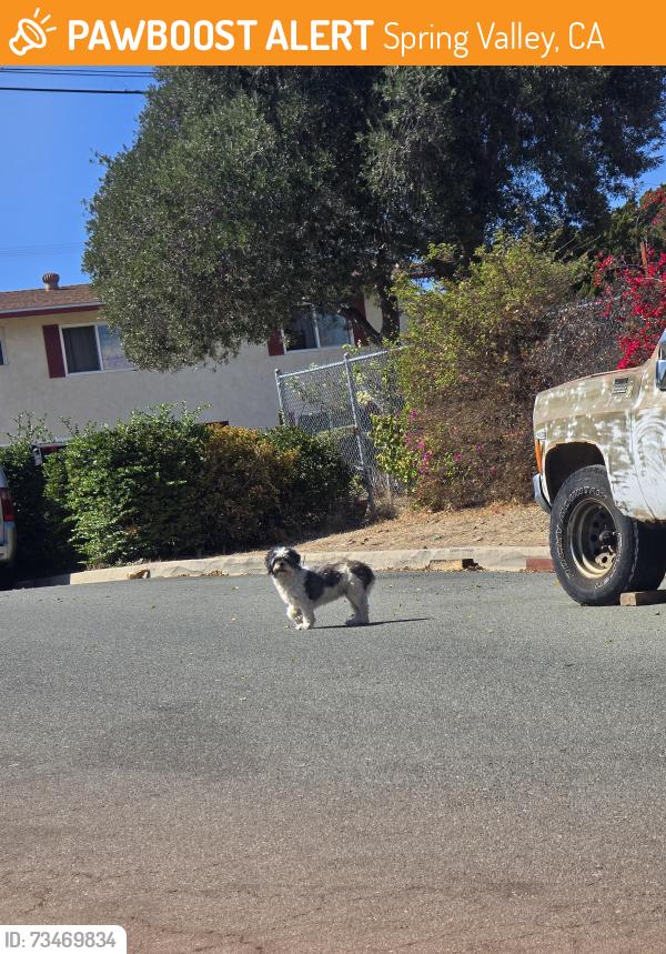 Found/Stray Unknown Dog last seen Between Ramona and Maria, Spring Valley, CA 91977