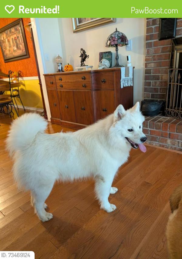 Reunited Unknown Dog last seen Kennesaw mountain high School, Kennesaw, GA 30152