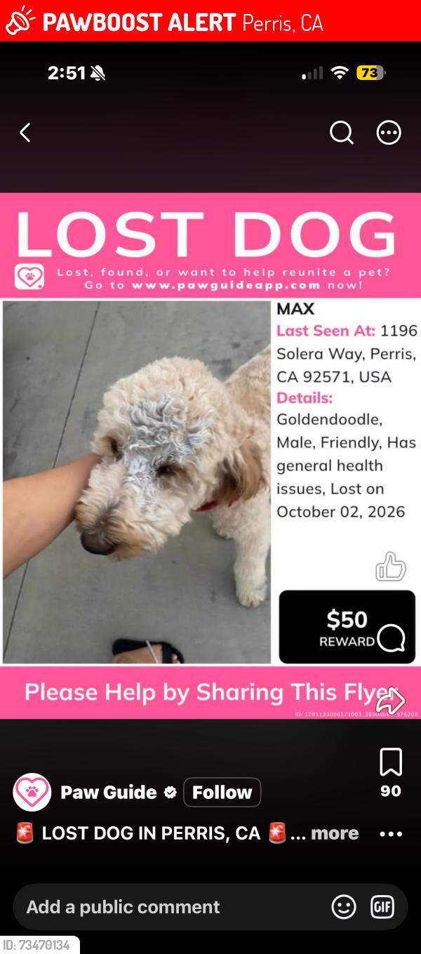 Lost Male Dog last seen Near perris ca, Perris, CA 92571