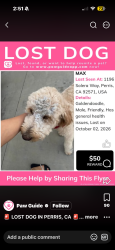 Lost Male Dog last seen Near perris ca, Perris, CA 92571