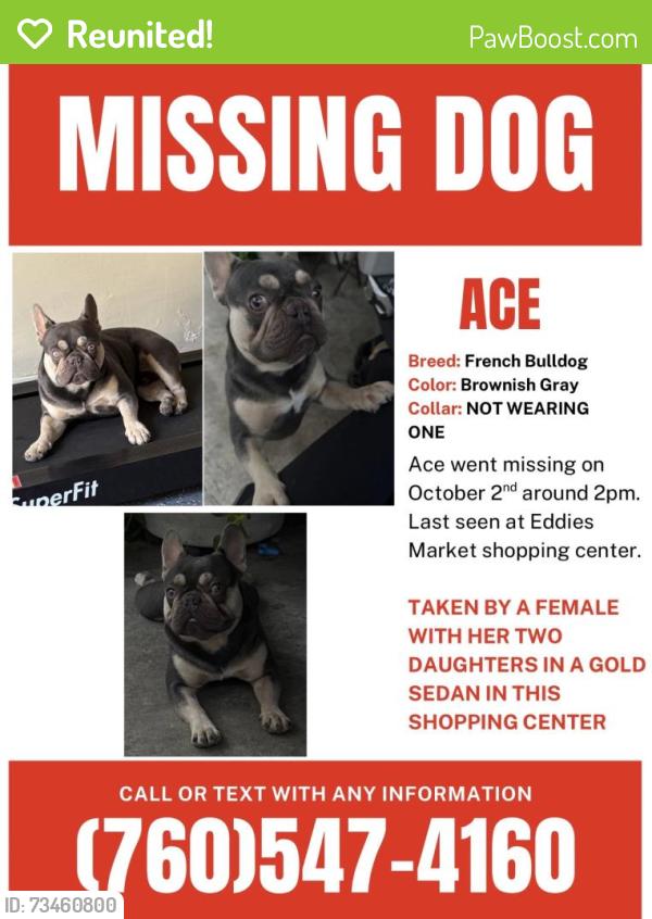 Reunited Male Dog last seen Near N Santa Fe Ave Vista, CA 92084 United States, Vista, CA 92084