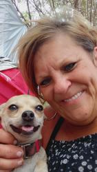 Lost Female Dog last seen Donally and Bourine, Fort Worth, TX 76107
