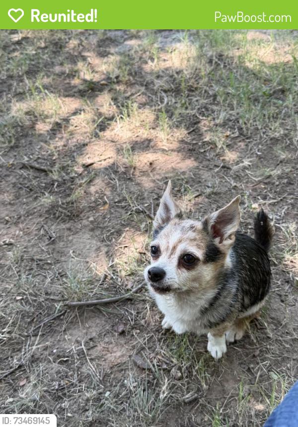 Reunited Female Dog last seen Lakeway and Westpark, Benbrook, TX 76126