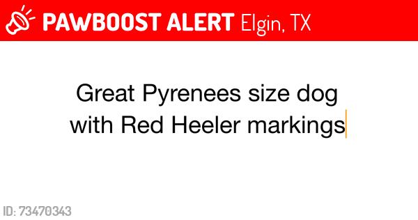 Lost Male Dog last seen Scott Falls Road, Elgin, TX 78621