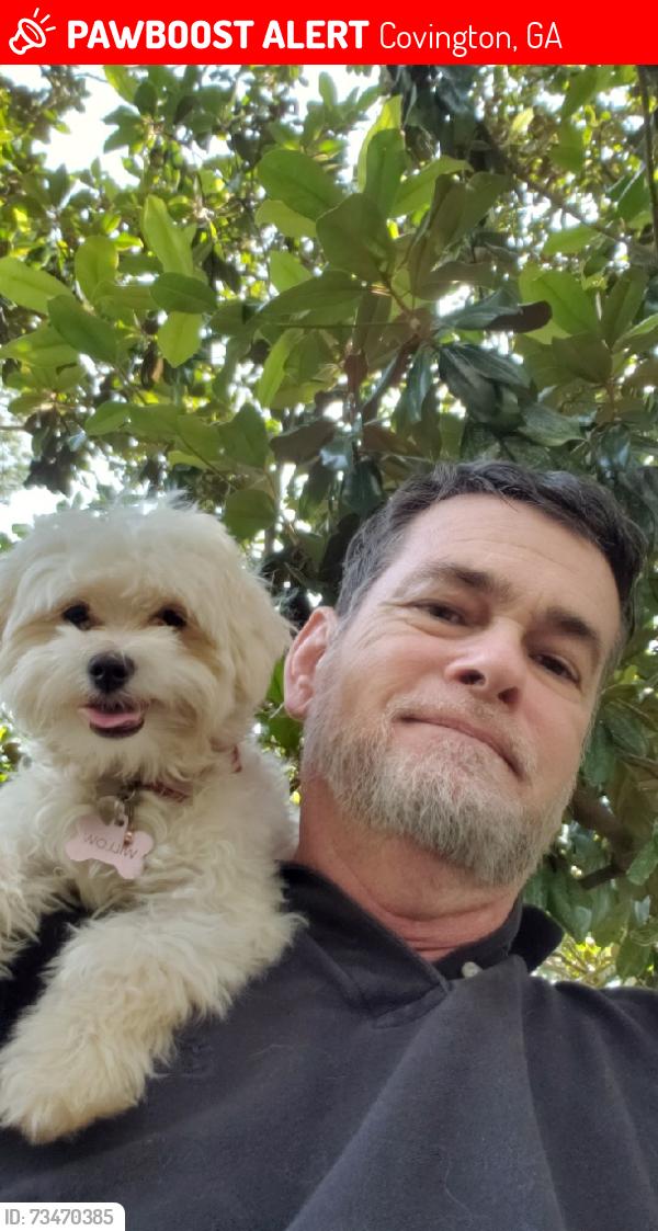 Lost Female Dog last seen Coshise Barber and Cherokee Roads, Covington, GA 30016