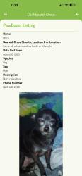 Lost Male Dog last seen Corner of velma and northside dr, Athens, TN 37303