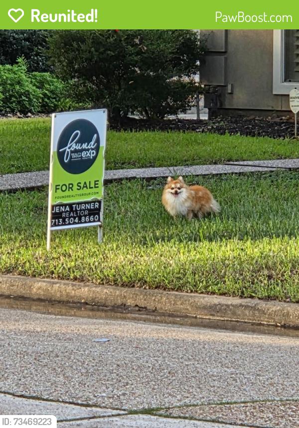 Reunited Unknown Dog last seen Auburn Hills Dr and Hermitage Oaks Dr, Gettysburg, TX 77377
