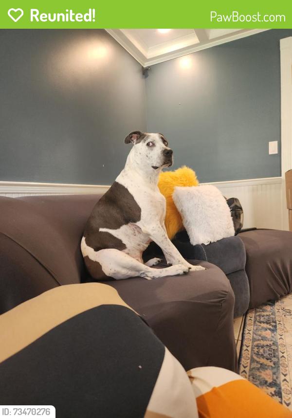 Reunited Female Dog last seen Fabrie@att.net, Dallas, GA 30132
