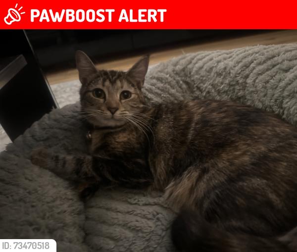 Lost Female Cat last seen Next to Brittons Park, Greater London, England 