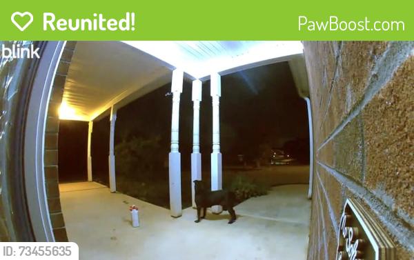 Reunited Unknown Dog last seen Jb owens road, Bethlehem, GA 30620
