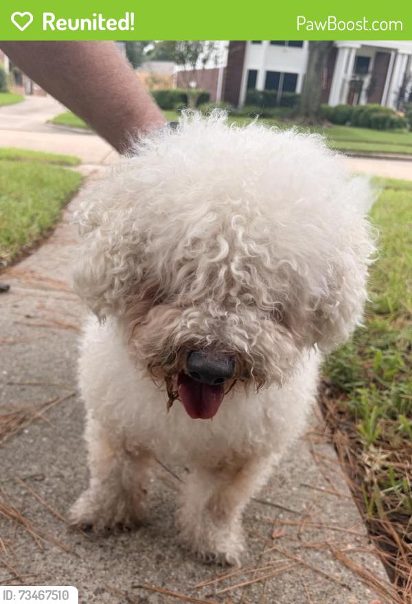Reunited Male Dog last seen Autumn Laurel Park, Houston, TX 77095